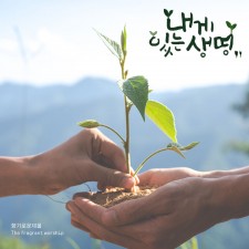 향기로운 제물 - 내게 있는 생명 (싱글)(음원)